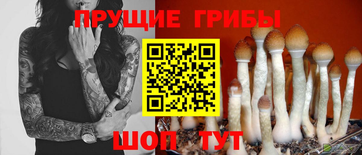 Галлюциногенные грибы Magic Shrooms  Вход с VPN  Шарыпово 