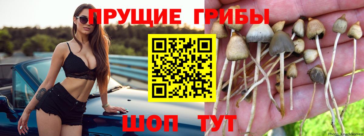 Галлюциногенные грибы прущие грибы Шарыпово